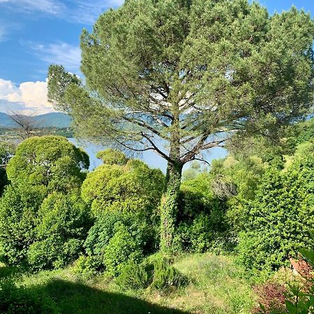 Villa Del Lago バルベリーノ・ディ・ムジェッロ エクステリア 写真