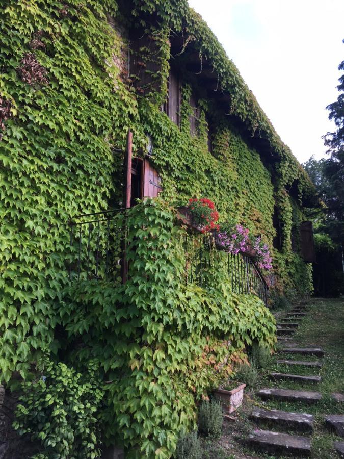 Villa Del Lago バルベリーノ・ディ・ムジェッロ エクステリア 写真