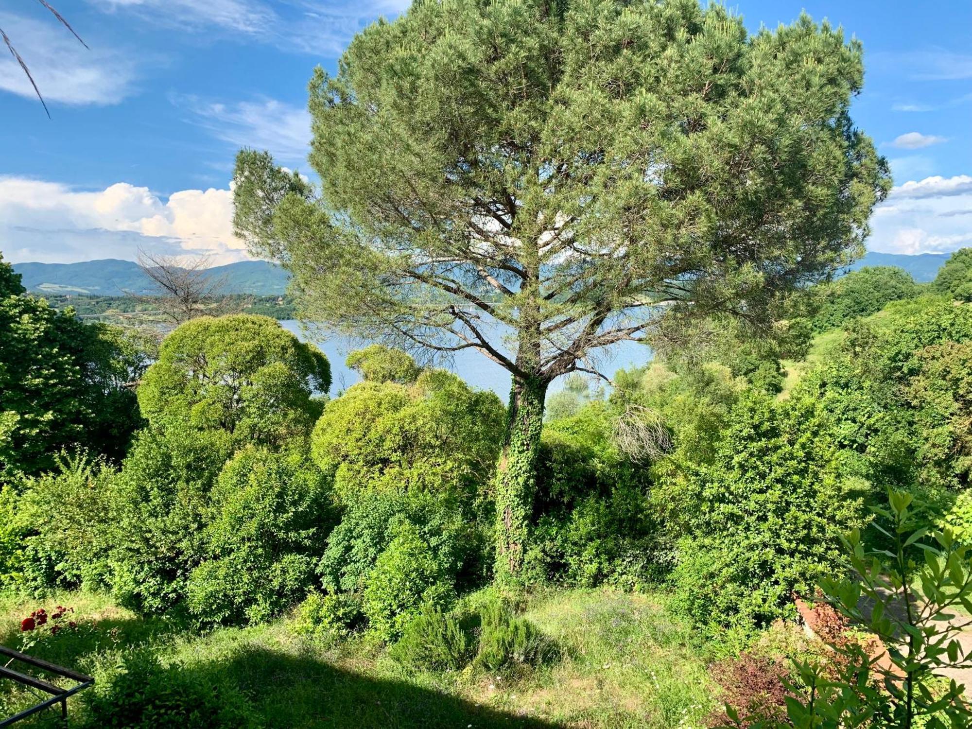 Villa Del Lago バルベリーノ・ディ・ムジェッロ エクステリア 写真